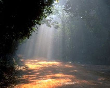 கவிஞரின் மனைவி...