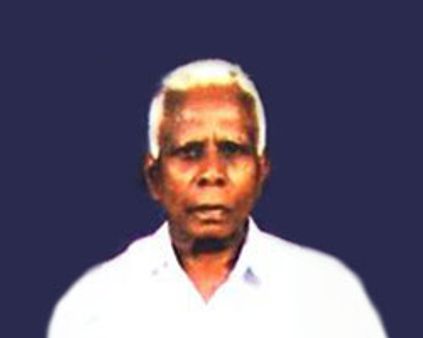 முனைவர் ச.வே.சுப்பிரமணியன்