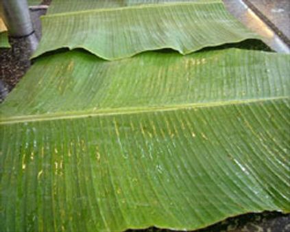 அரிசி 1 ரூபா, குழம்பு 99 ரூபா!: வரதராஜன் கிண்டல்