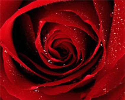 என் பாக்கியம்...