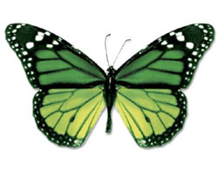 பொறுத்தது போதும்...