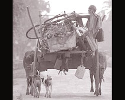 வன்னியில் 1.5 லட்சம் தமிழர்கள் தவிப்பு: சி்ங்கள எம்.பி தகவல்