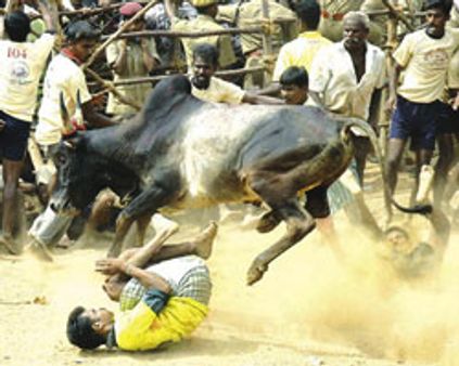 2008ன் முக்கிய சம்பவங்கள்!