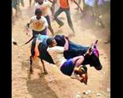 ஜல்லிக்கட்டை நிரந்தரமாக தடை செய்யக் கோரி வழக்கு