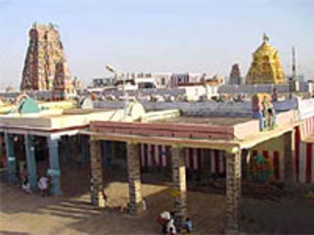 பழனி தைப்பூசம் - இன்று தேரோட்டம்