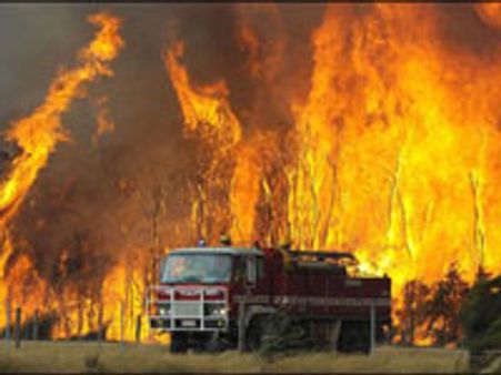 ஆஸ்திரேலியா காட்டு தீ-பின்னணியில் தீவிரவாதிகள்?