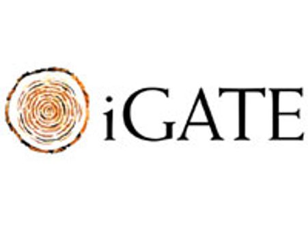 சத்யம் பங்குகளை வாங்க ஐகேட் மீண்டும் விருப்பம்