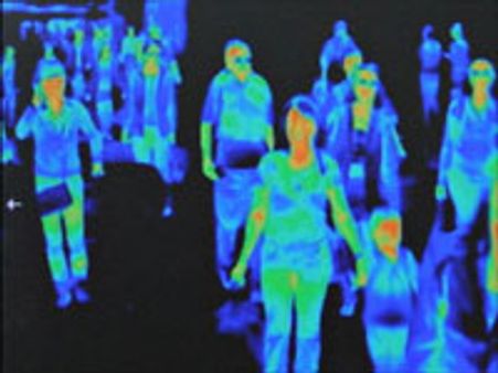 'ஸ்வைன் ப்ளூ': சென்னையில் பன்றிகளை கொல்ல உத்தரவு-ஸ்கேனர் கொண்டு பயணிகளுக்கு சோதனை