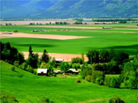 ஏழை நாடுகளுக்கு 'அவுட்சோர்ஸ்' ஆகும் விவசாயம்!