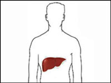 உலக ஹபடைடிஸ் (கல்லீரல் நோய்) தினம்