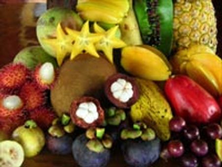 குன்னூர்-சிம்ஸ் பூங்காவில் பழக் கண்காட்சி!