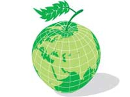 உலக சுற்றுச் சூழல் தினம்