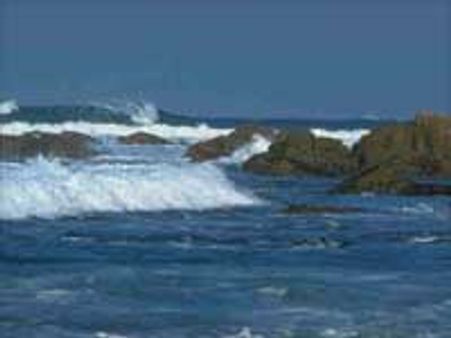 உலக சமுத்திர தினம்