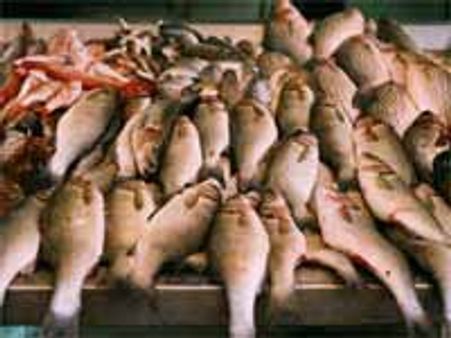 கடல் கொந்தளிப்பு-முள்ளாய் குத்தும் மீன் விலை!