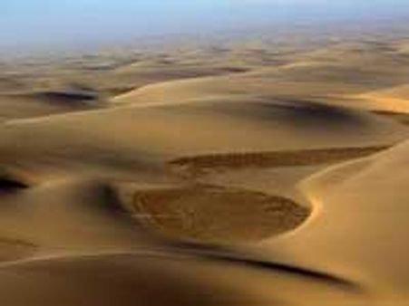 பாலைவனமாதல், வறட்சிக்கு எதிரான தினம்