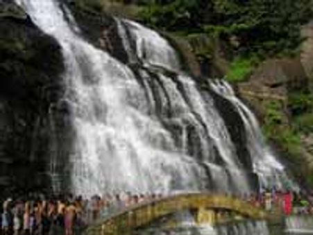 குற்றாலத்துக்கு 'குட்பை'-பாலருவிக்கு படை!!