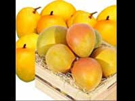 விஷ மருந்து தெளித்து பழுக்க வைக்கப்பட்ட 5000 கிலோ மாம்பழங்கள் அழிப்பு