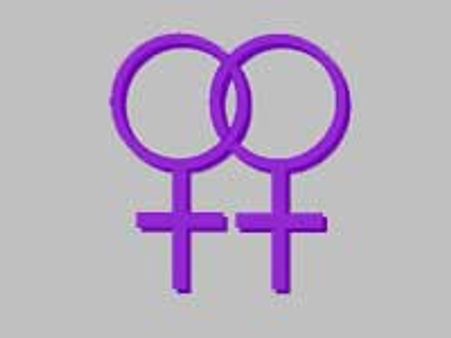 ஓரின சேர்ககை தீர்ப்பு: ப.சி-ஆசாத்-மொய்லி ஆலோசனை