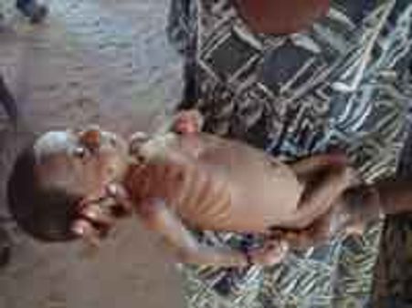 மாணிக் பார்மில் வாரத்திற்கு 1400 தமிழர்கள் அநியாயமாக சாவு