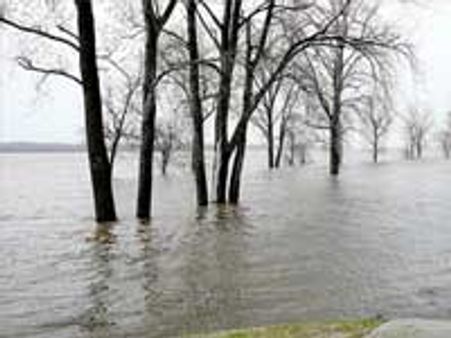 40,000 கனஅடி நீர் திறப்பு-காவிரியில் வெள்ளம்!