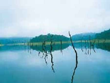 பெரியாறு அணை அருகே புதிய அணை: துபாய் நிறுவனத்திடம் கேரளா காண்ட்ராக்ட்