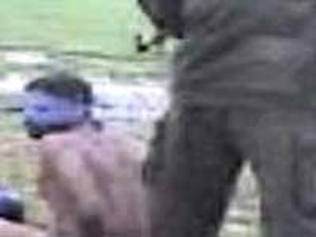 இலங்கையின் போர் குற்றங்கள்: நிர்வாணமாக்கி, கண்ணைக் கட்டி, சுட்டுக் கொல்லப்பட்ட தமிழர்கள்