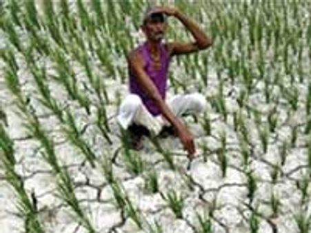 உணவுப் பொருள் - வரலாறு காணாத விலை உயர்வு!