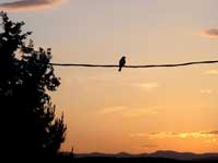 என் மனமும் அதனோடே...