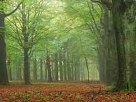 உன்னையே தந்துபோகும் குளிர்..