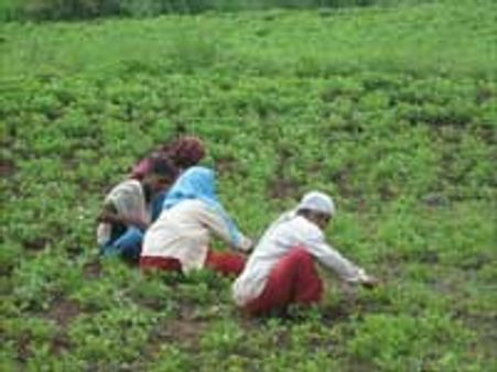 பிழைப்பு தேடி வரும் தமிழர்களுக்கு கேரளாவில் அதிகரிக்கும் நெருக்கடி