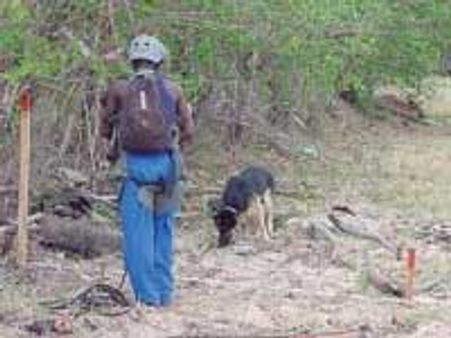 கண்ணிவெடி அகற்றம் - இலங்கைக்கு ஐ.நா. தரும் ரூ. 25 கோடி