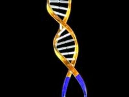 வயதை நிர்ணயிக்கும் 'டெலோமிரேஸ்'-கண்டுபிடித்த விஞ்ஞானிகளுக்கு நோபல்