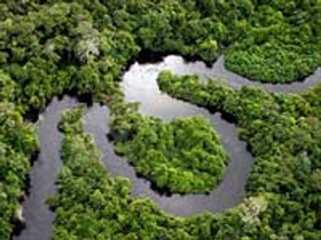 தமிழக வனப்பகுதி-புலிகள் எண்ணிக்கை அதிகரிப்பு!