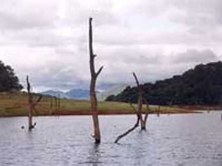 அணை: தமிழகத்துக்கு பதிலடி தருவோம்-கேரளா