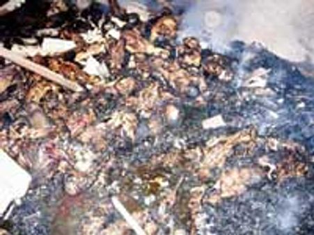 32 பேரை பலி கொண்ட பள்ளிப்பட்டு பட்டாசு விபத்து: 3 பேர் கைது-7 பேர் சஸ்பெண்ட்