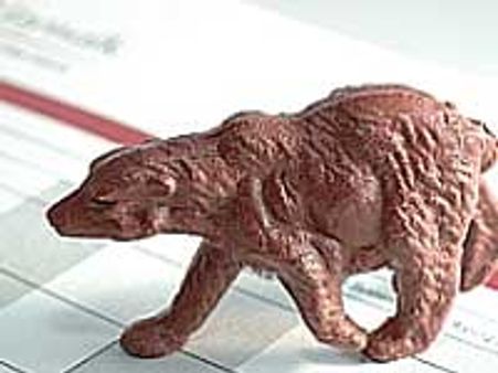 தொடர்கிறது 'கரடிப் பிடி'!