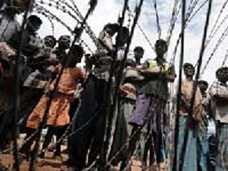 தமிழர்கள் மறுகுடியேற்ற நடவடிக்கை - அமெரிக்கா வரவேற்பு