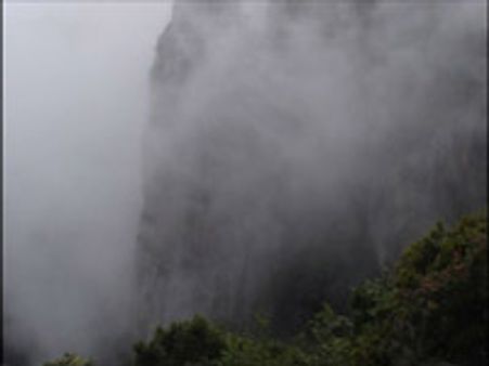 கொடைக்கானலில் மூடு பனி-கன மழை: இயல்பு வாழ்க்கை பாதிப்பு!!