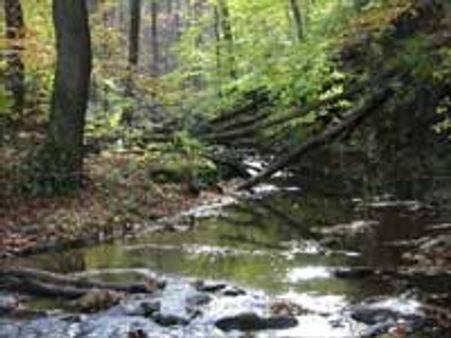 நானே உண்மை, நானே பொய்யும்..