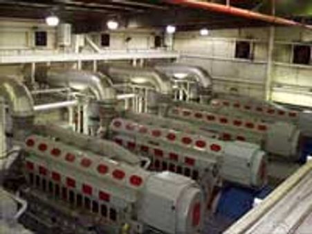 தமிழகத்தில் ரூ.800 கோடியில் பயோமாஸ் மின்சக்தி திட்டங்கள்