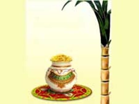 பொங்கல் விழா மலரட்டும்