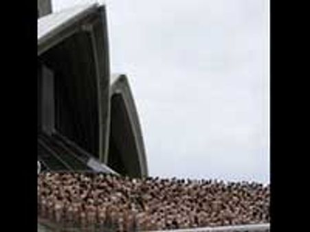 சிட்னியில் 5000 பேர் கொடுத்த நிர்வாண போஸ்!