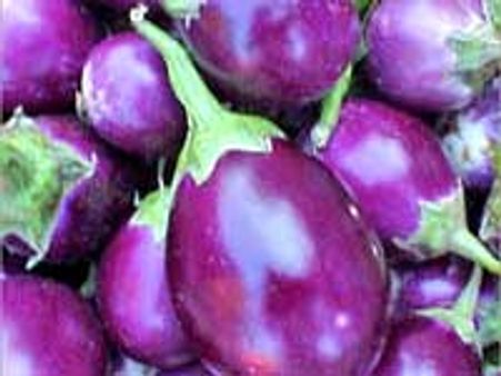 பிடி கத்தரியால் எதிர்கால சந்ததியினருக்கு பாதிப்பு: மருத்துவர்கள் எச்சரிக்கை