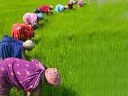 இந்தியாவில் பெண்கள் எண்ணிக்கை குறைகிறது- ஐநா அறிக்கை