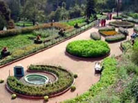 ஊட்டியில் வாசனை திரவிய கண்காட்சி நடத்த திட்டம்