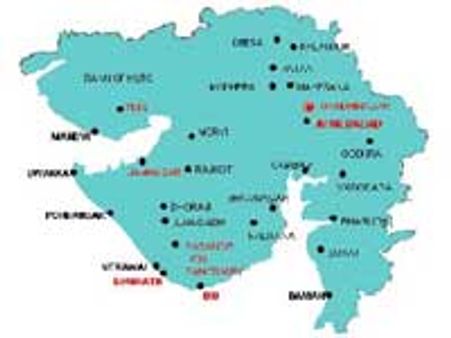 குஜராத்தில் பன்றிக்காய்ச்சல் பலி எண்ணிக்கை 300 ஆனது!