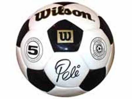 உலகக் கோப்பை கால்பந்து மூலம் 90 கோடி வருவாய்! - சத்யம் கம்ப்யூட்டர்ஸ்