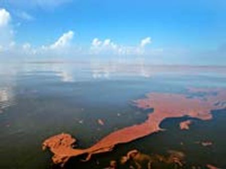 'அலட்சியம்... இது 9/11ஐ விட மோசமான தீவிரவாதம்!'