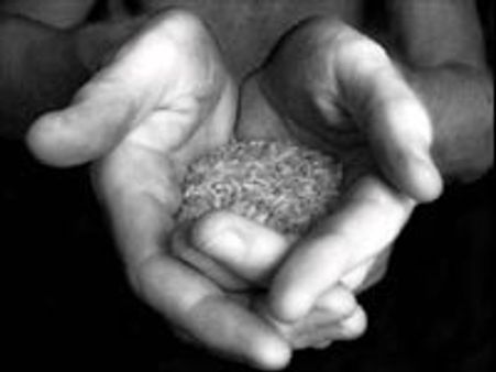 வறுமைக்கோட்டுக்கு மேல் வாழும் குடும்பங்களுக்கும் மானிய விலையில் அரிசி-கோதுமை!