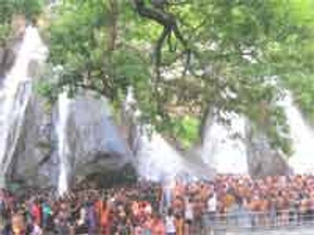 விடிய விடிய சாரல்-குற்றாலம் அருவிகளில் வெள்ள பெருக்கு